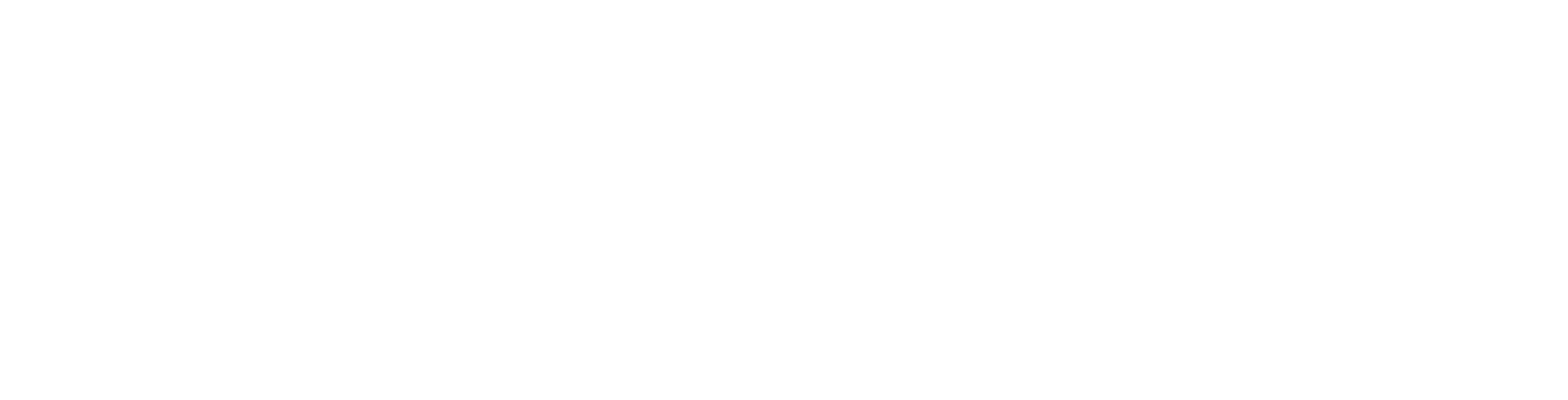 TRIVINSAI Logo
